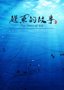 鰻魚的故事(全集)