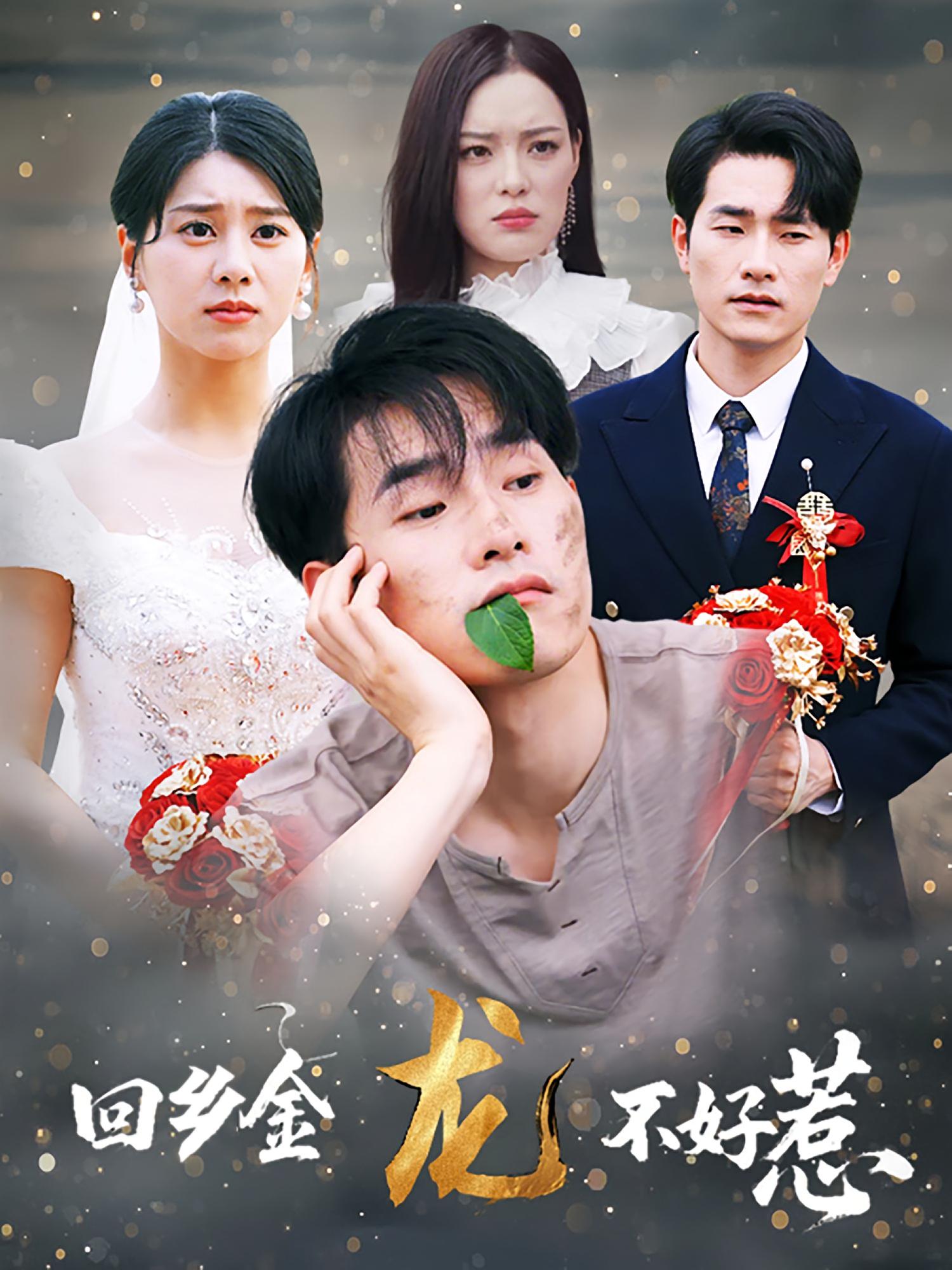 回鄉(xiāng)金龍不好惹(全集)
