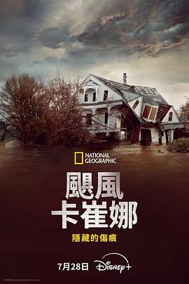 颶風卡特里娜：隱藏的傷痕(全集)