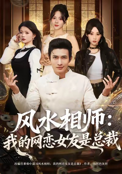 風(fēng)水相師我的網(wǎng)戀女友是總裁
