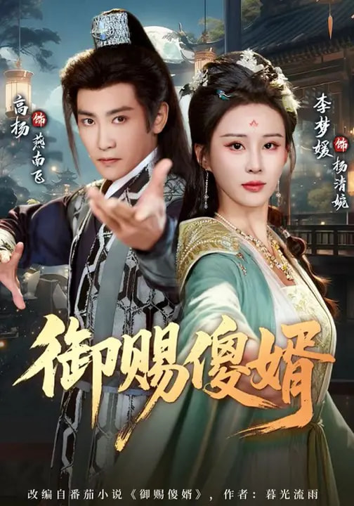 御賜傻婿