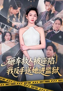 砸車救人被誣陷，我反手送她進(jìn)監(jiān)獄(全集)