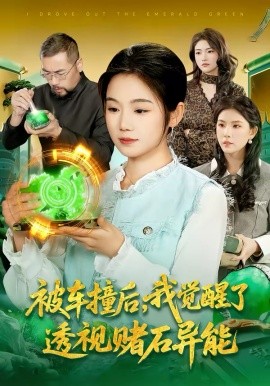 被車撞后，我覺醒了透視賭石異能了(全集)