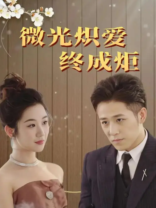 微光熾愛(ài)終成炬(全集)
